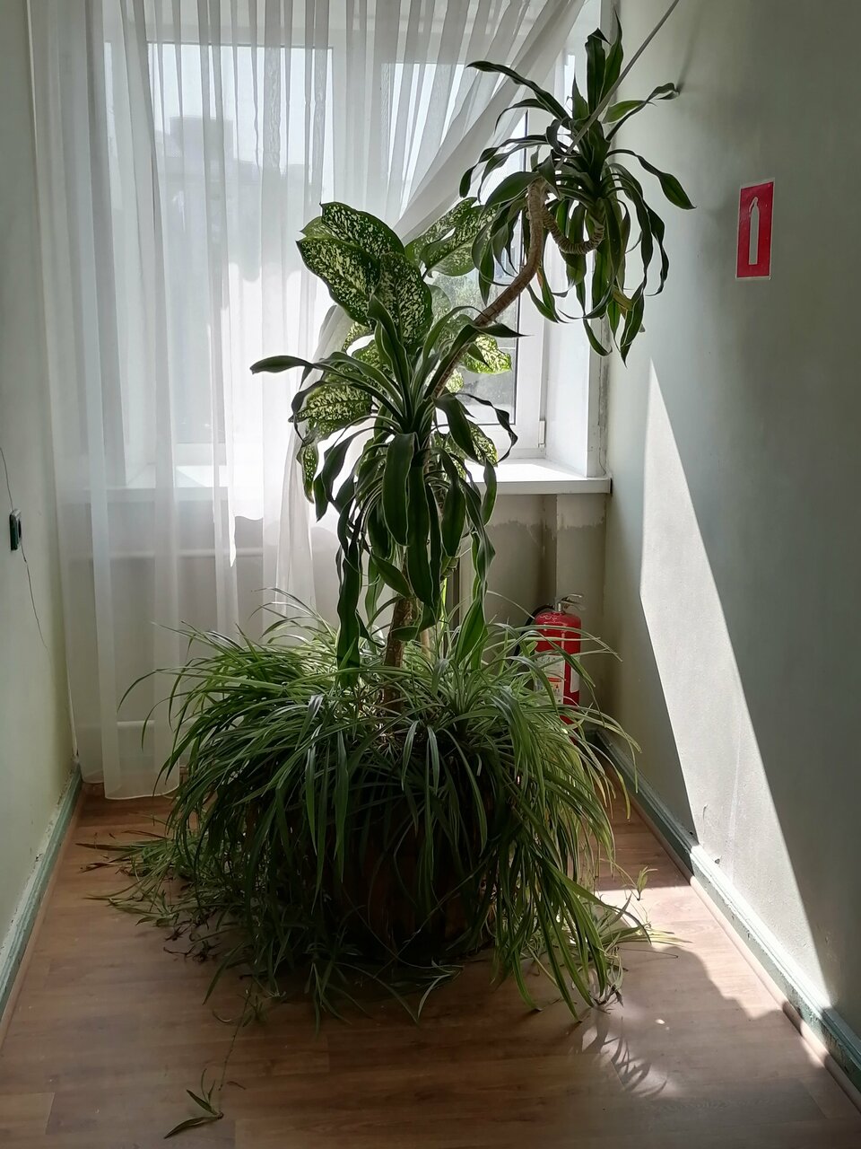 Гостиница Русь Орёл