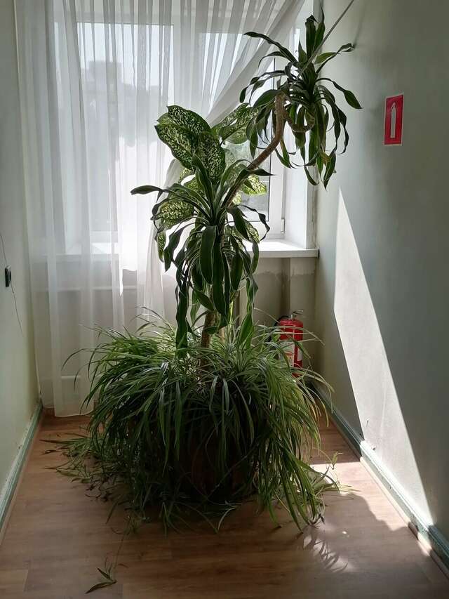 Гостиница Русь Орёл-115