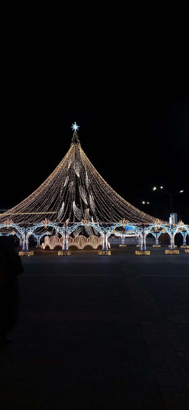 Гостиница Русь Орёл-100